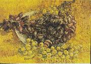 Vincent Van Gogh Still Life with Grapes painting